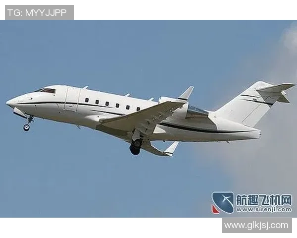 足球明星私人飞机价格揭秘谁是最奢华的飞行王者